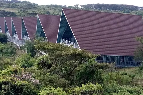 What is Light Gauge Steel Framing?