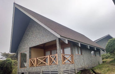 Leopard Tours - Finished Products